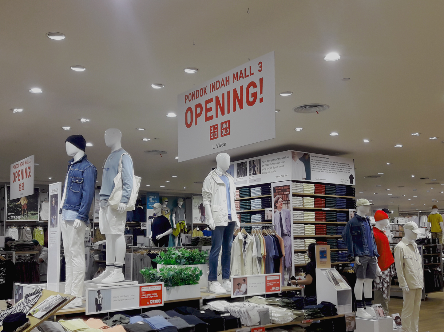 uniqlo pim