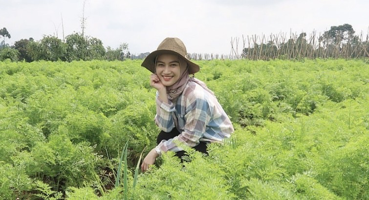 melody