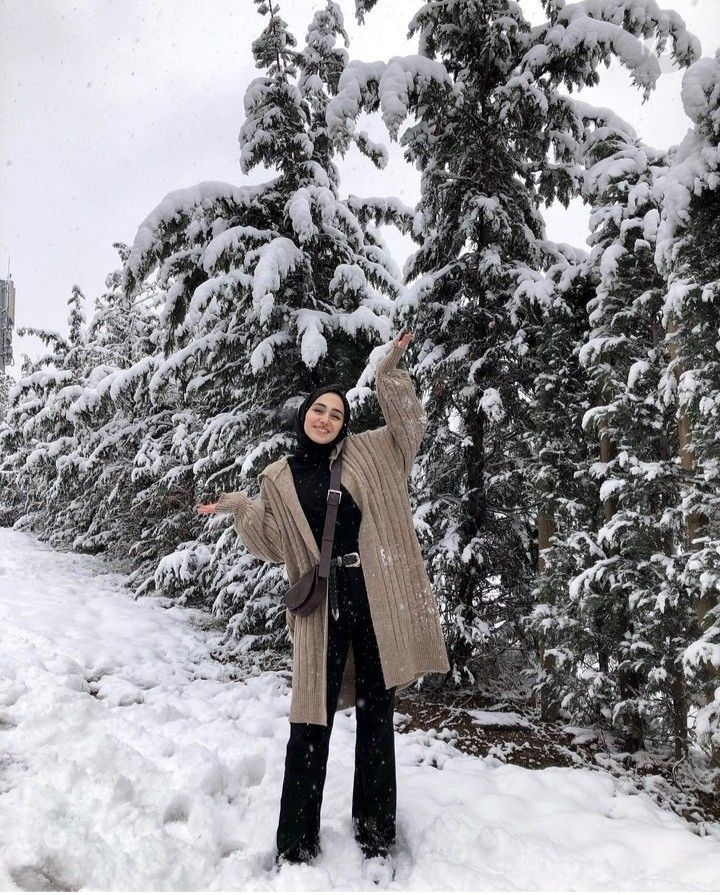 Musim dingin