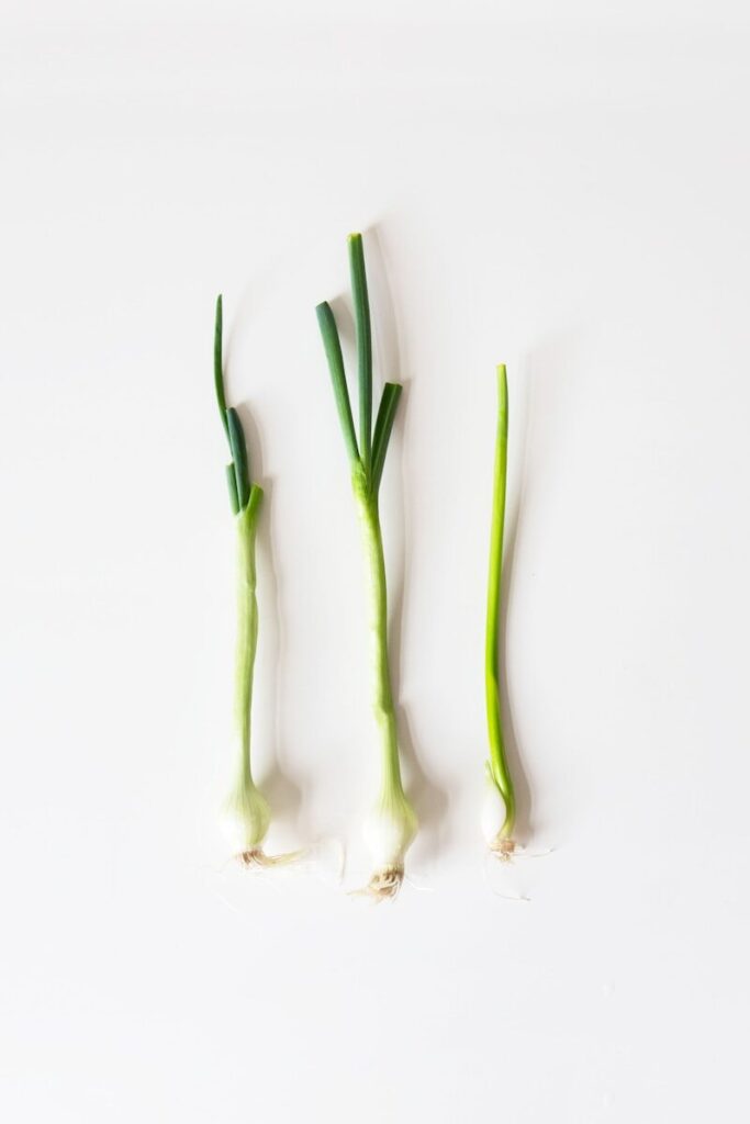green spring onions