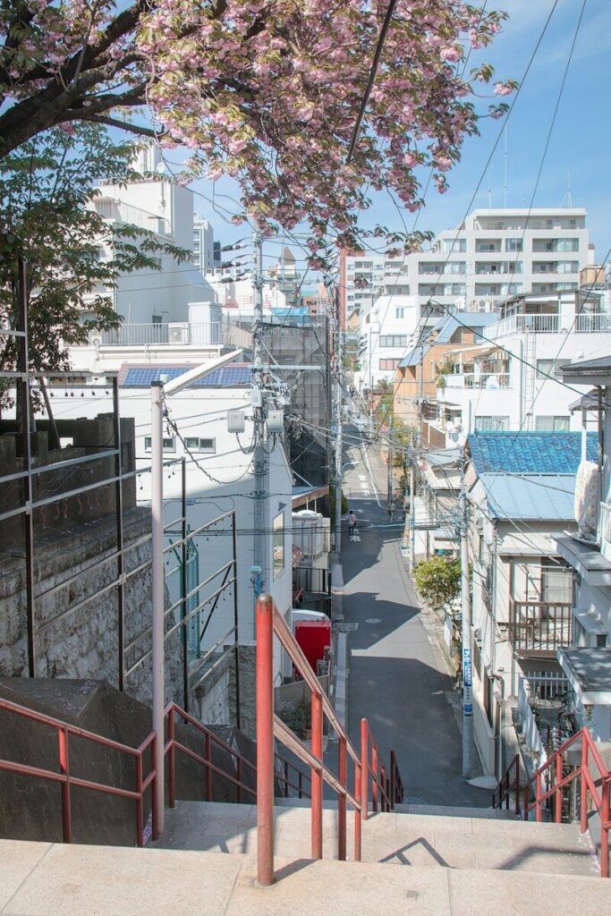 A narrow street in Tokyo viewed from stone stairs under blooming cherry blossoms