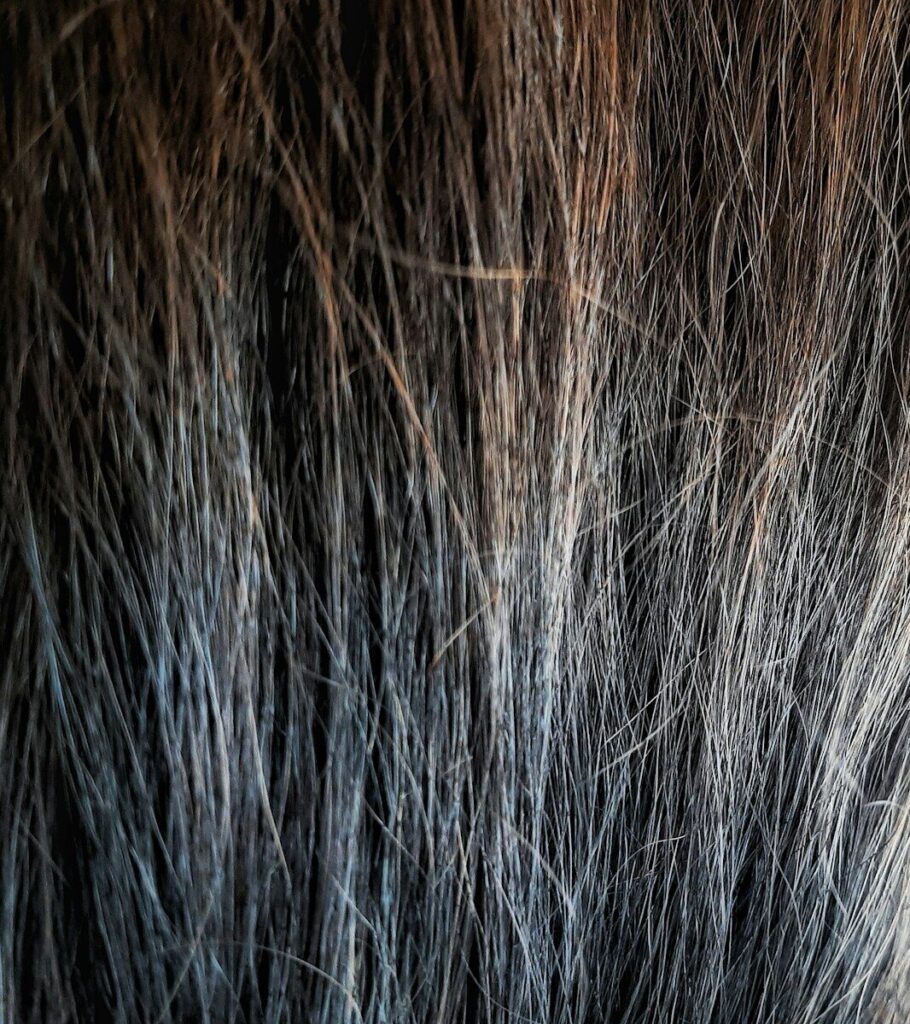 a close up of a woman's hair